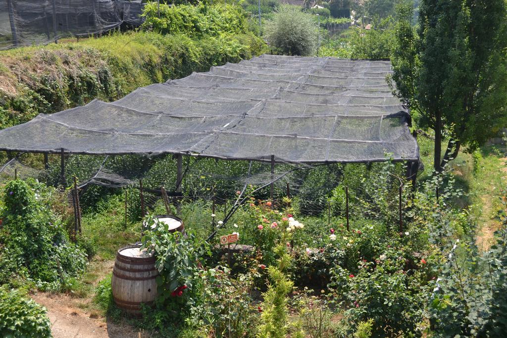 Agriturismo Nonno Tobia Agerola Extérieur photo